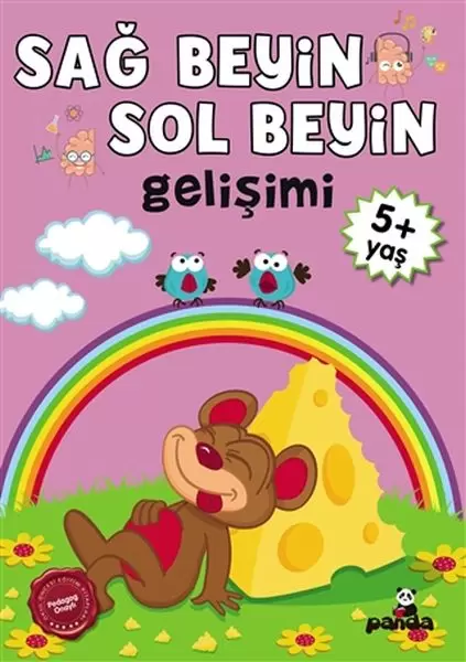 5-yas-sag-beyin-sol-beyin-gelisimi