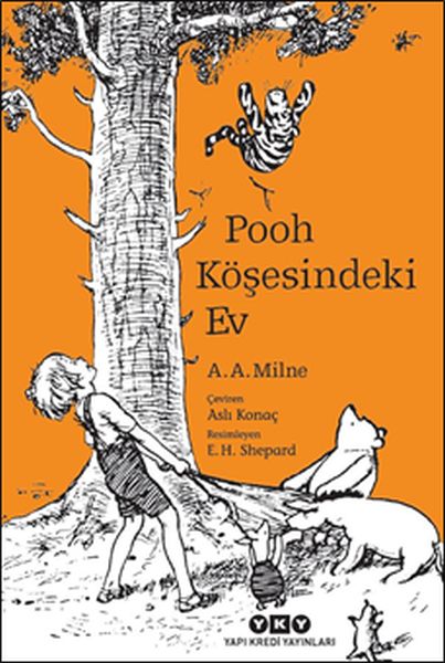 pooh-kosesindeki-ev