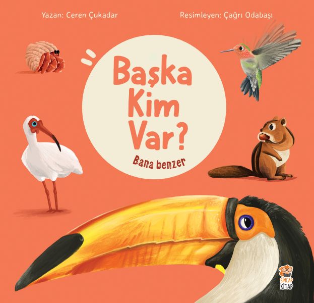 bana-benzer-baska-kim-var-224565