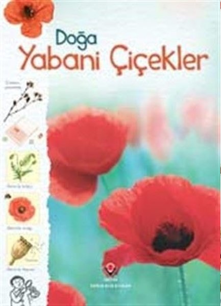 doga-yabani-cicekler