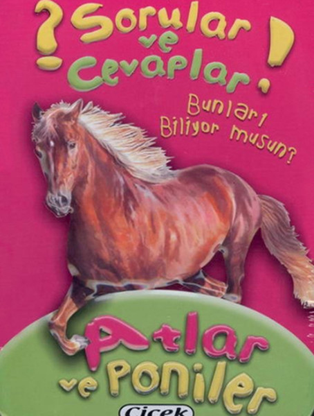 sorular-ve-cevaplar-kart-atlar-ve-poniler