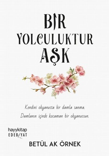 bir-yolculuktur-ask