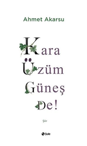 kara-uzum-gunes-de-224399