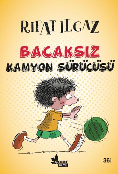 bacaksiz-kamyon-surucusu