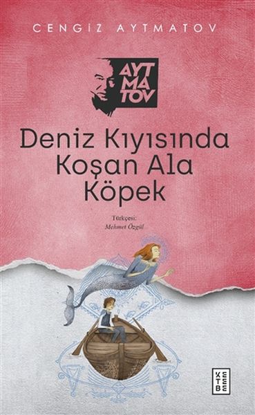 deniz-kiyisinda-kosan-ala-kopek-186502