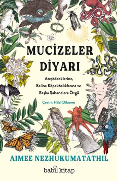 mucizeler-diyari