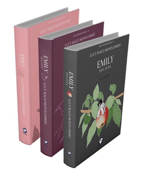 ruzgarin-kizi-emily-serisi-3-kitap