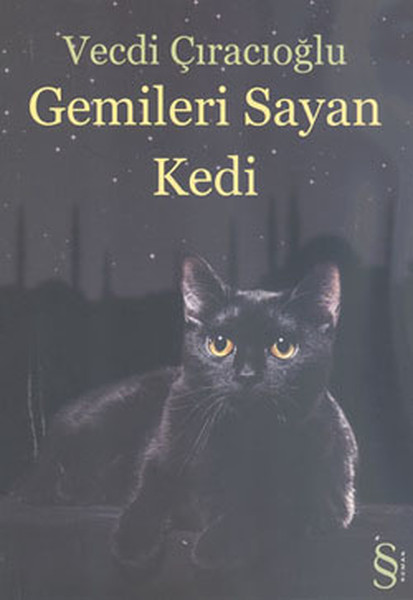 gemileri-sayan-kedi