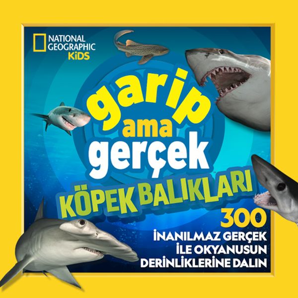 national-geographic-kids-garip-ama-gercek-kopek-baliklari