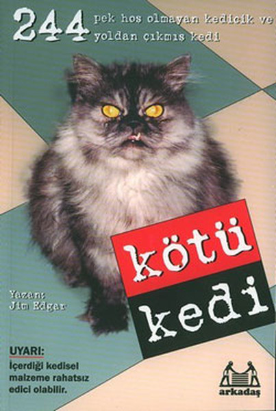 kotu-kedi