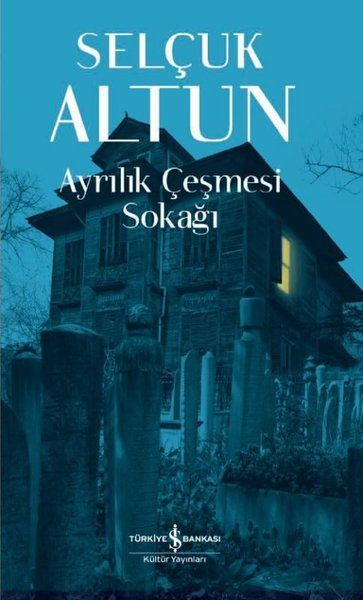 ayrilik-cesmesi-sokagi