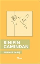 sinifin-camindan