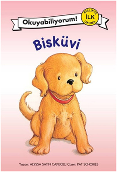 biskuvi