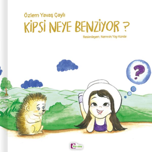 kipsi-neye-benziyor