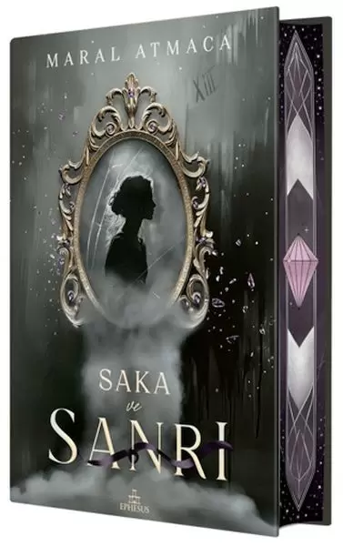 saka-ve-sanri-2-yan-boyamali-ciltli