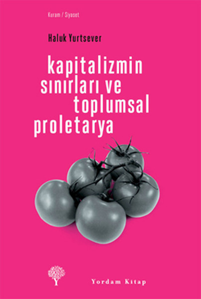 kapitalizmin-sinirlari-ve-toplumsal-proletarya