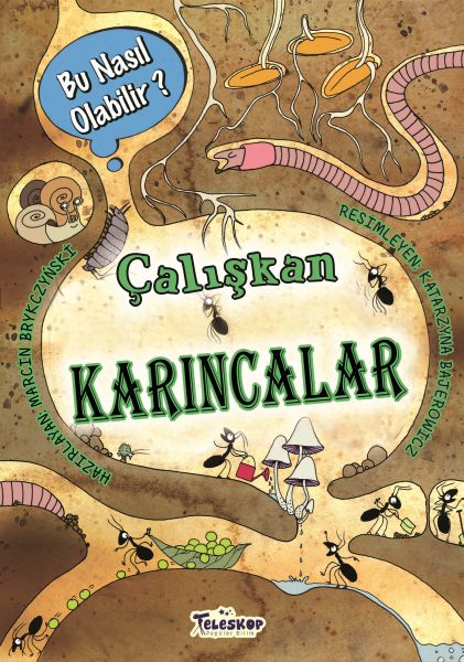 caliskan-karincalar-bu-nasil-olabilir