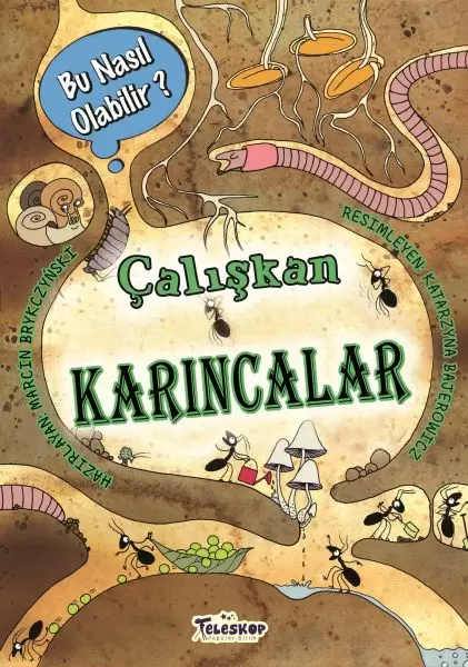 caliskan-karincalar-bu-nasil-olabilir