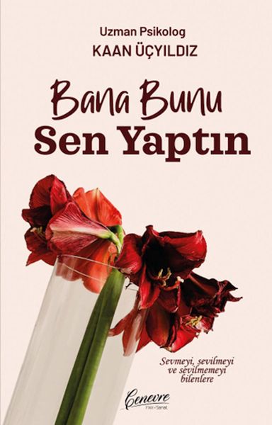 bana-bunu-sen-yaptin