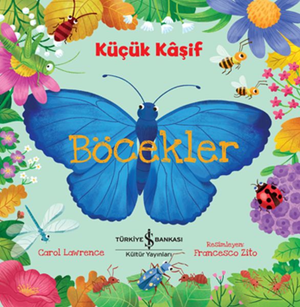 kucuk-kasif-bocekler