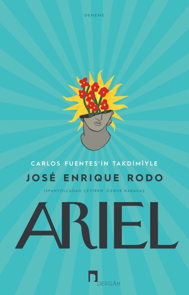 ariel-228545