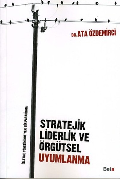 stratejik-liderlik-ve-orgutsel-uyumlanma