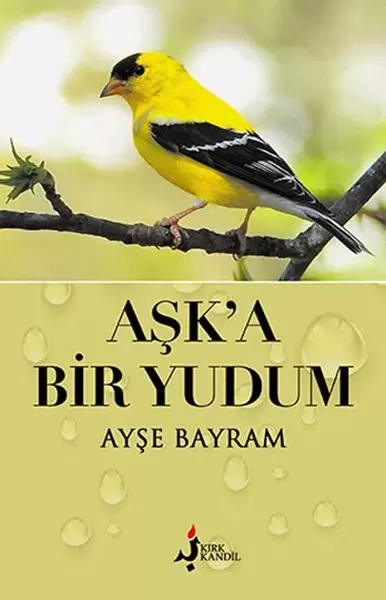 ask-a-bir-yudum