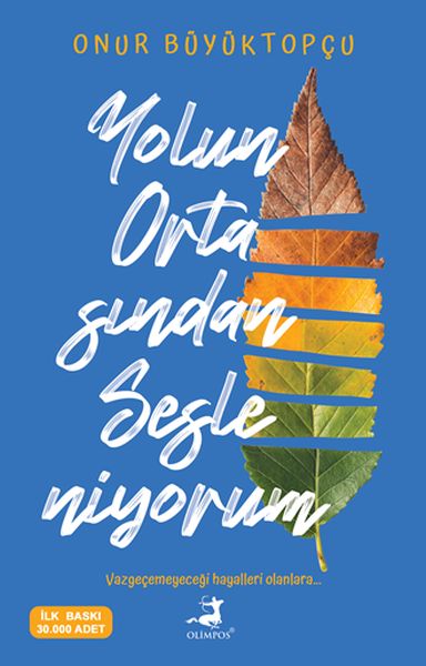 yolun-ortasindan-sesleniyorum