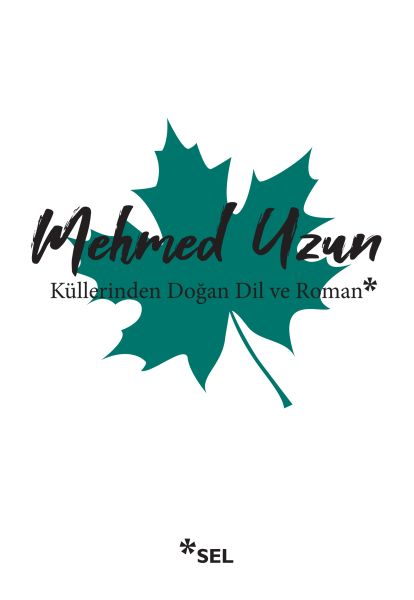 kullerinden-dogan-dil-ve-roman