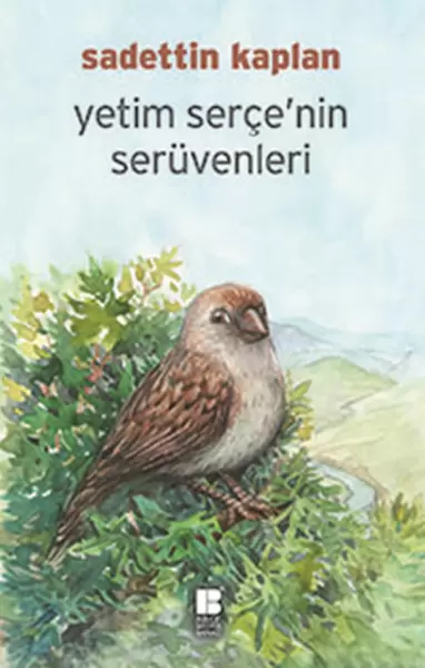 yetim-serce-nin-seruvenleri