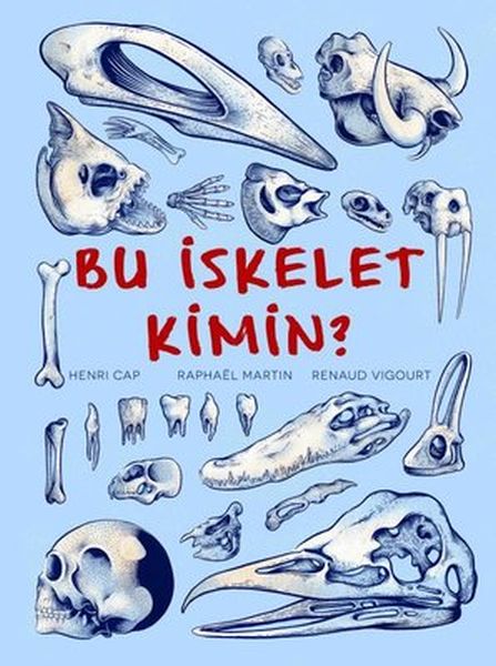 bu-iskelet-kimin