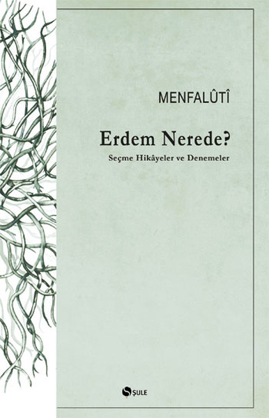 erdem-nerede-secme-hikayeler-ve-denemeler