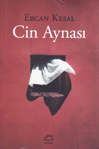 cin-aynasi