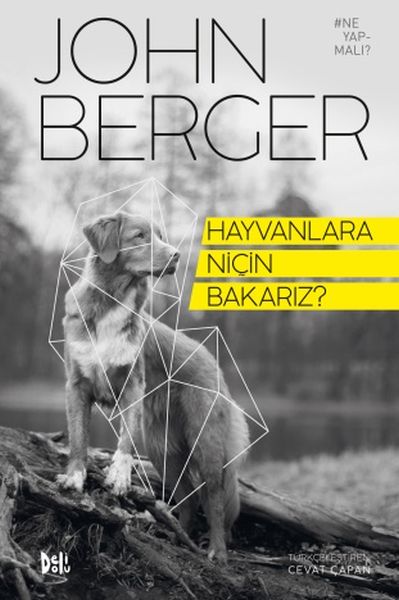 hayvanlara-nicin-bakariz