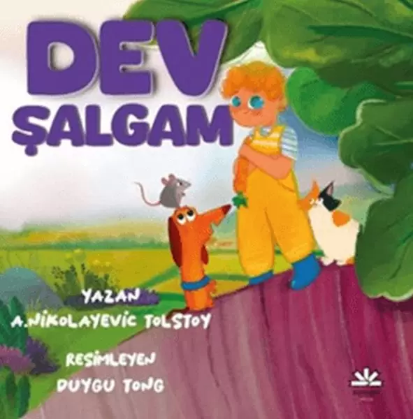 dev-salgam