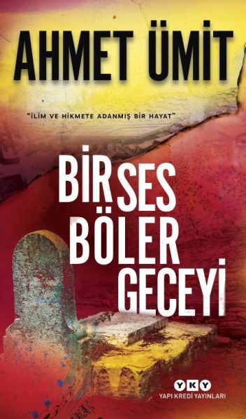 bir-ses-boler-geceyi