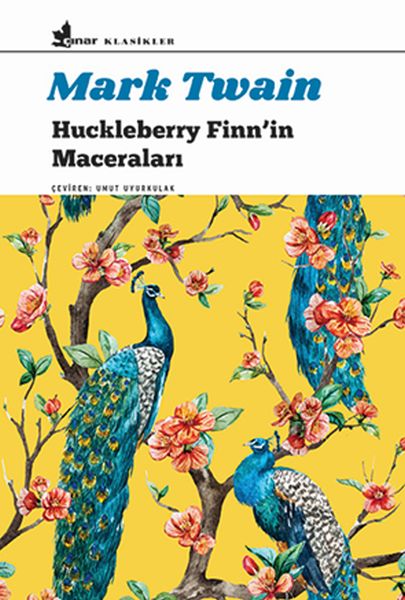 huckleberry-finn-in-maceralari-196591