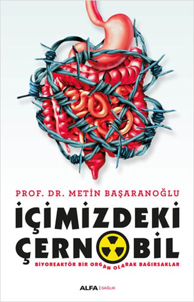 icimzideki-cernobil