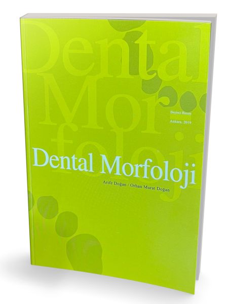 dental-morfoloji