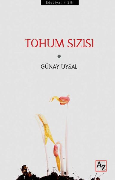 tohum-sizisi