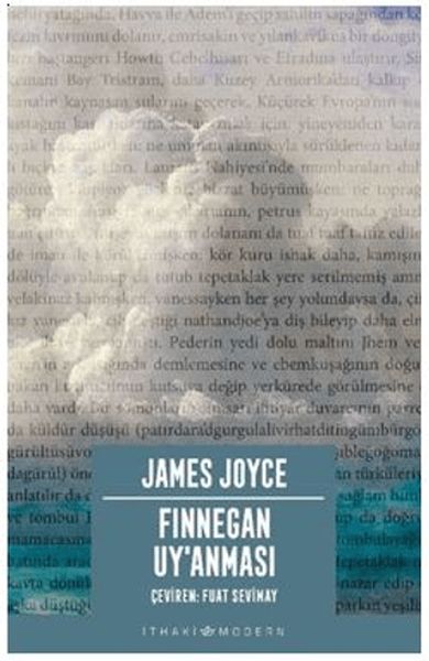 finnegan-uy-anmasi