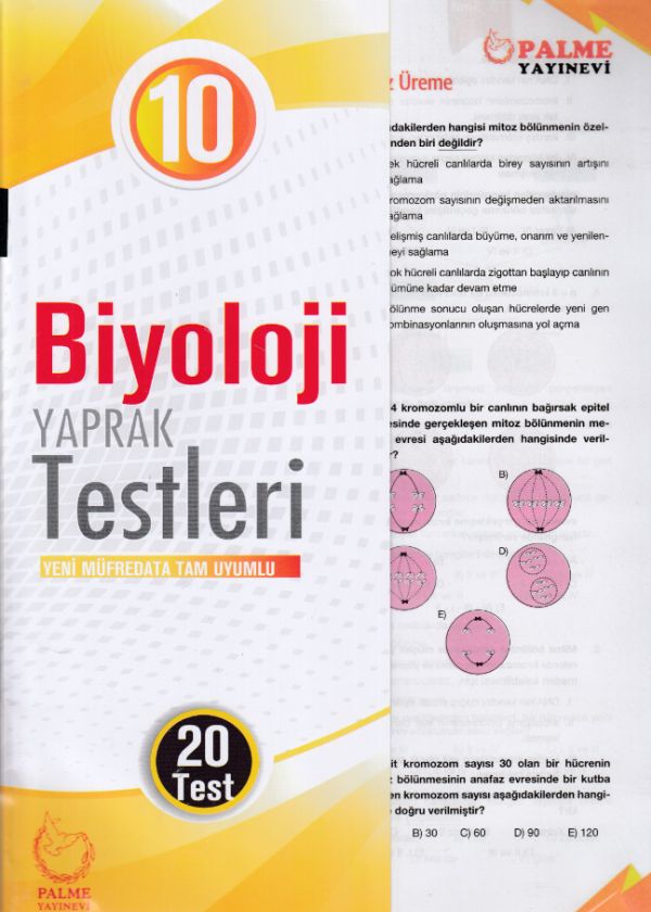 palme-10-sinif-biyoloji-yaprak-test-yeni