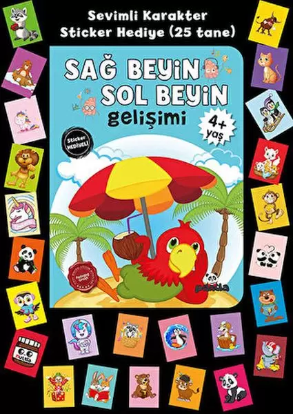stickerli-4-yas-sag-beyin-sol-beyin-gelisim