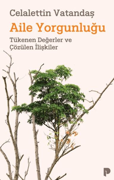aile-yorgunlugu