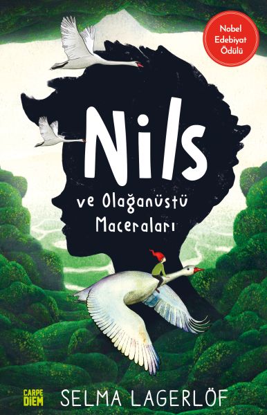 nils-ve-olaganustu-maceralari