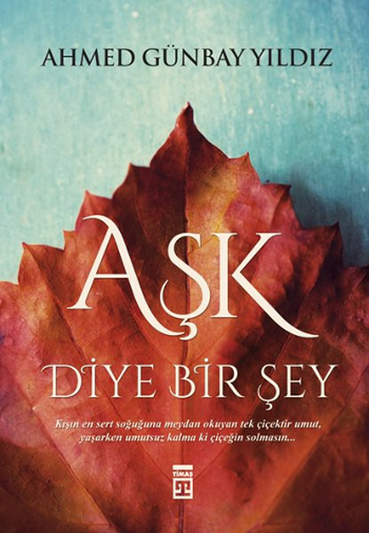 ask-diye-bir-sey