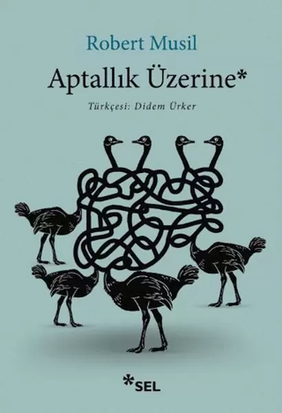 aptallik-uzerine-240721
