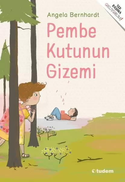 pembe-kutunun-gizemi