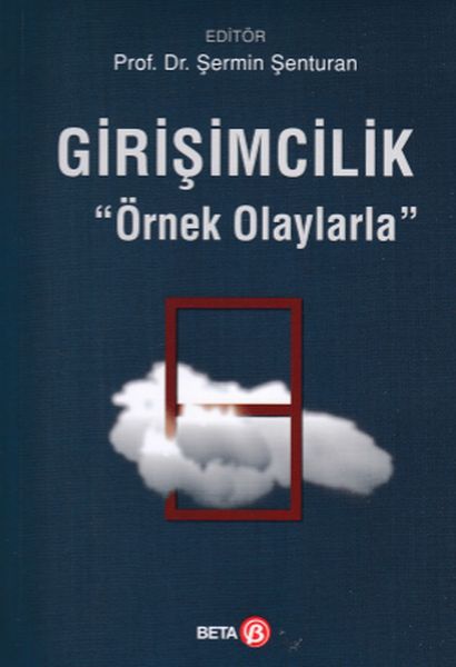 girisimcilik-ornek-olaylarla