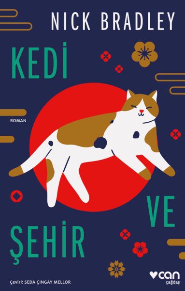 kedi-ve-sehir